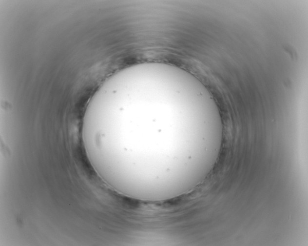 X0000091340703200708101019