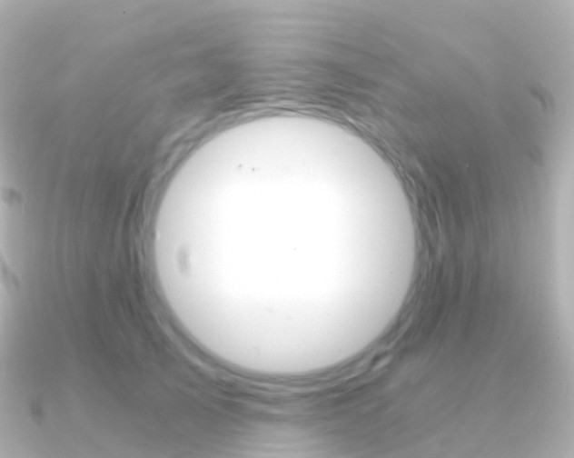 X0000091340705200708101019