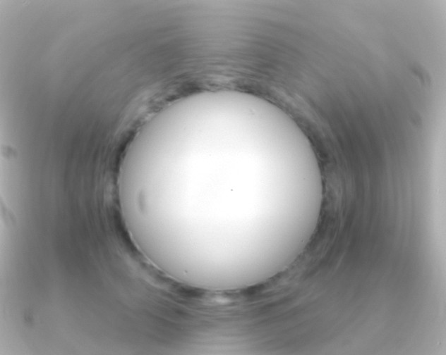 X0000091340706200708101019