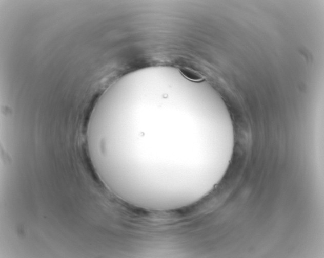 X0000091340707200708101019