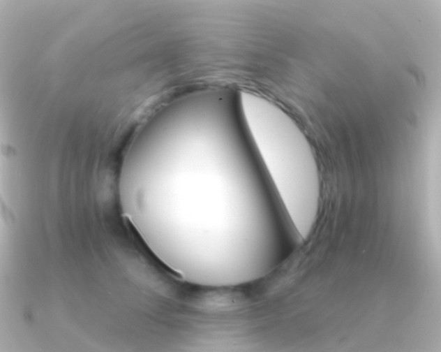 X0000091340708200708101019