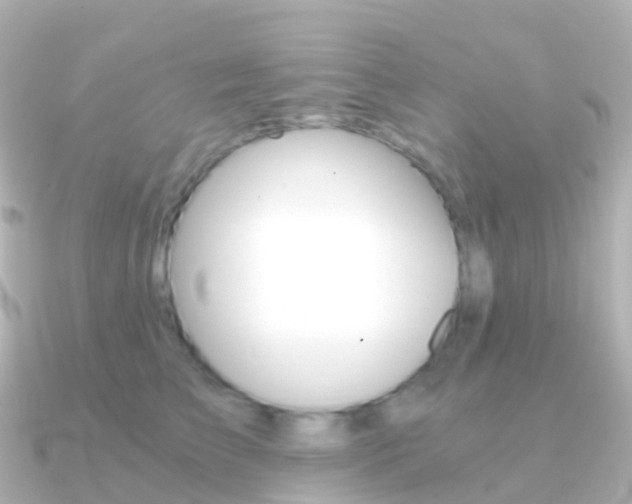 X0000091340709200708101019