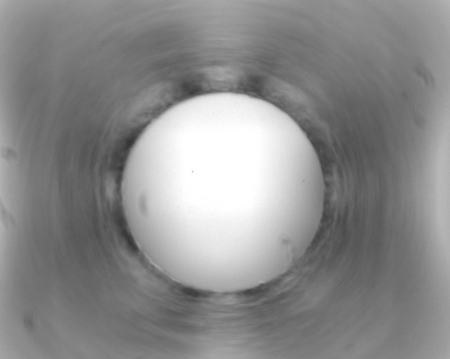 X0000091340711200708101019