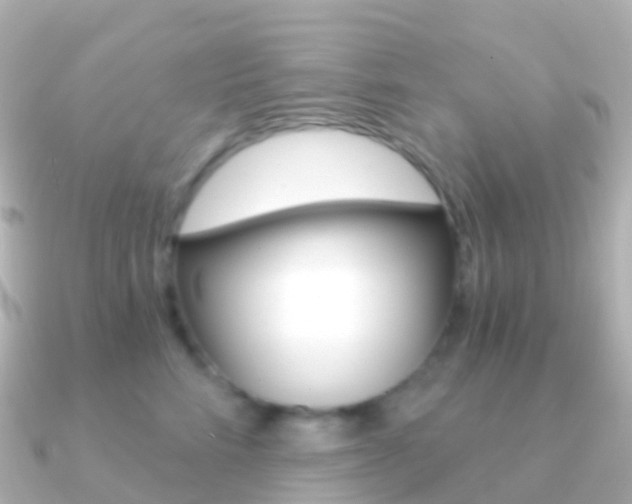 X0000091340712200708101019