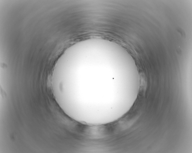 X0000091340713200708101019