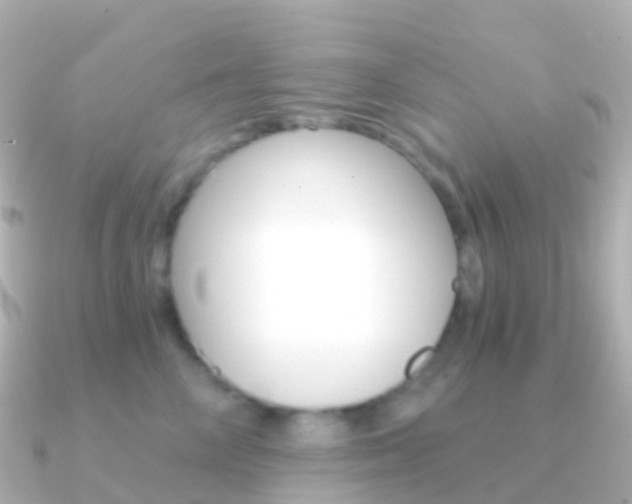 X0000091340714200708101019