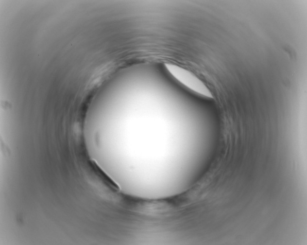 X0000091340716200708101019