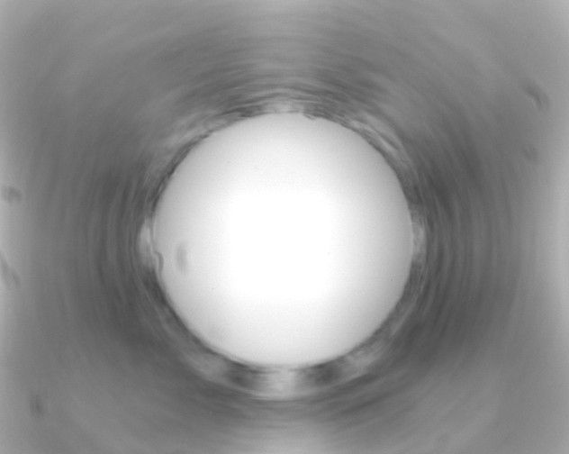 X0000091340717200708101019