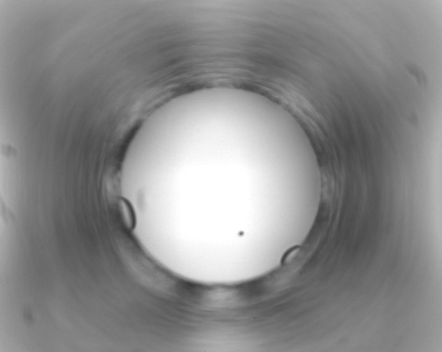 X0000091340718200708101019