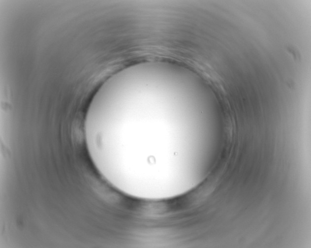 X0000091340719200708101019