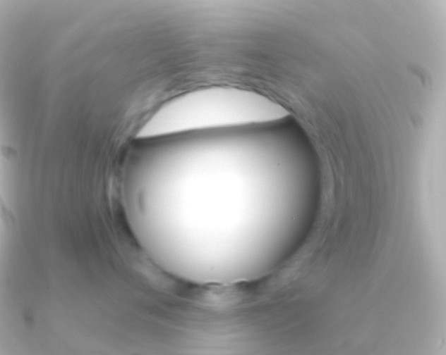 X0000091340720200708101019