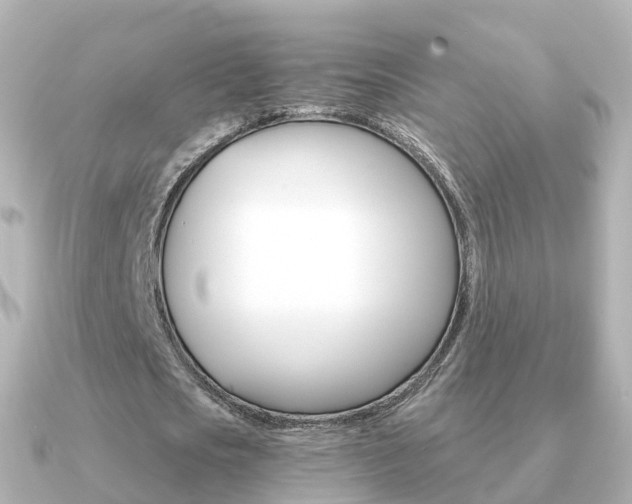 X0000091340721200708101019