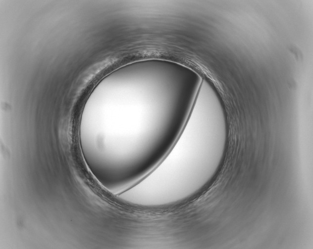X0000091340722200708101019