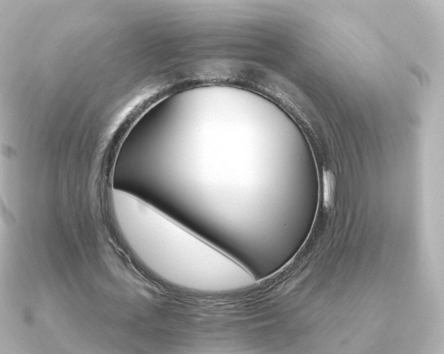 X0000091340723200708101019