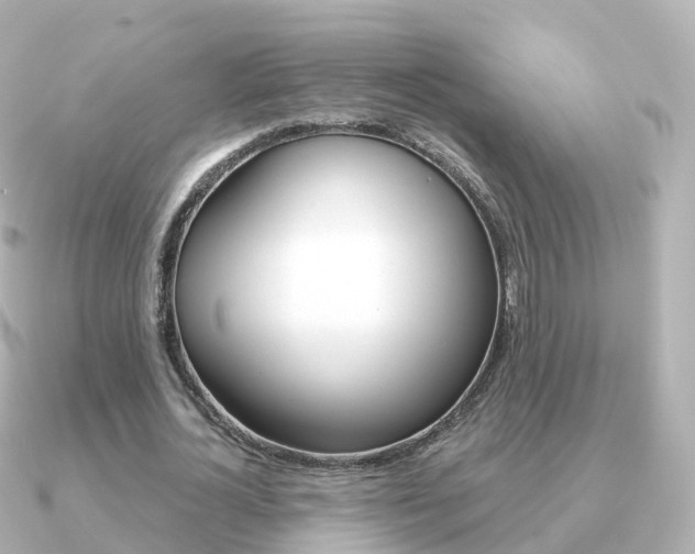 X0000091340724200708101019