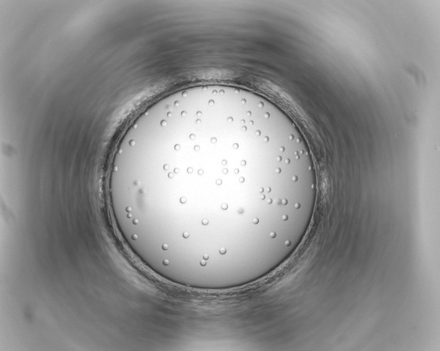 X0000091340725200708101019