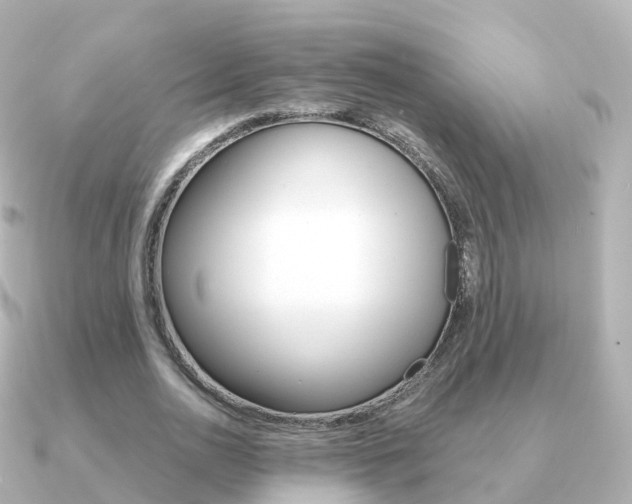 X0000091340726200708101019