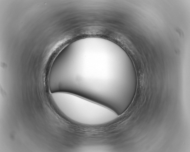 X0000091340727200708101019