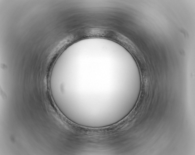 X0000091340729200708101019