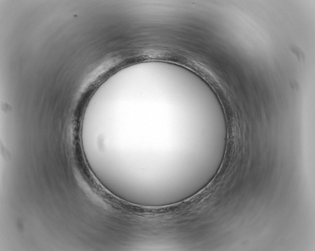X0000091340730200708101019