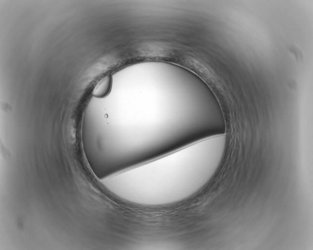 X0000091340731200708101019