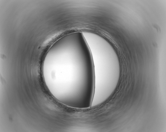 X0000091340732200708101019