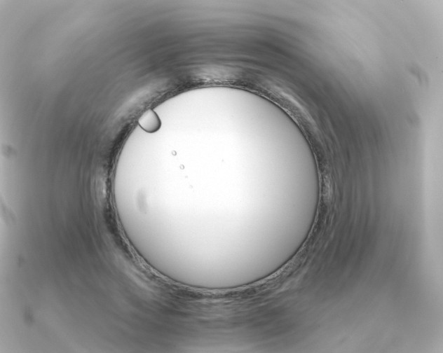 X0000091340733200708101019