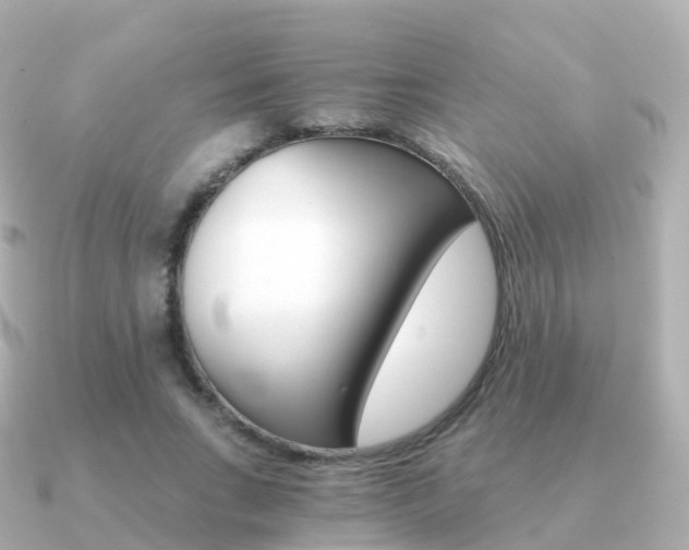 X0000091340735200708101019