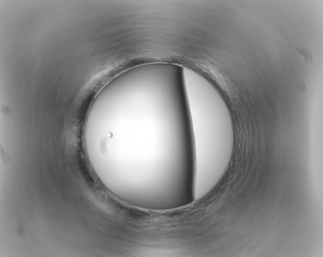 X0000091340736200708101019