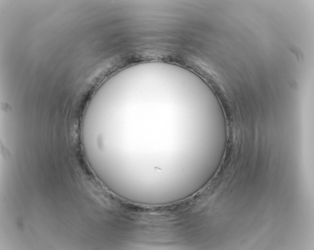 X0000091340737200708101019