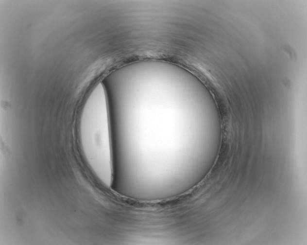 X0000091340738200708101019