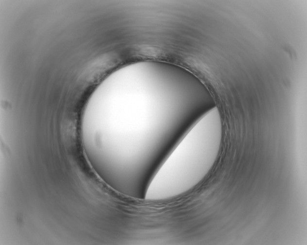 X0000091340739200708101019