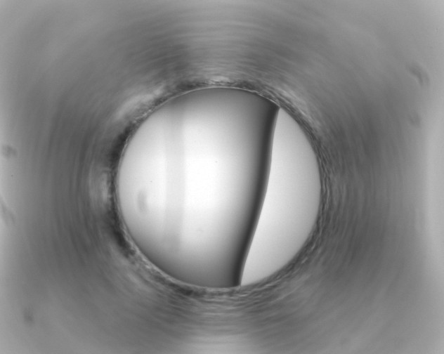 X0000091340740200708101019