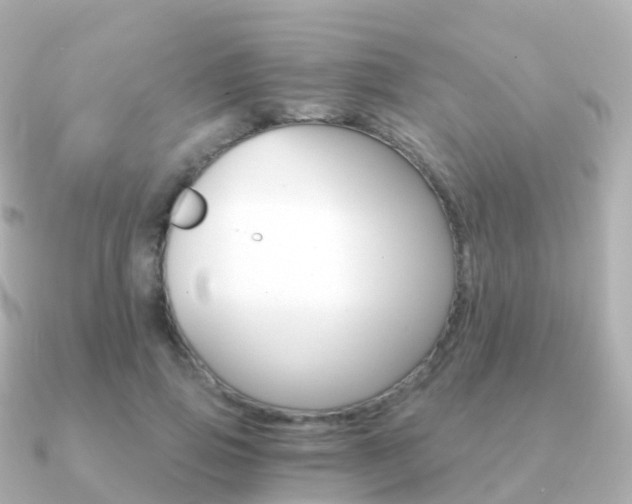 X0000091340741200708101019