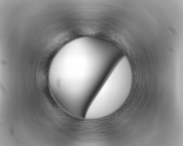 X0000091340743200708101019