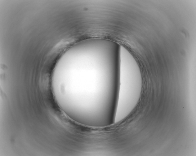 X0000091340744200708101019
