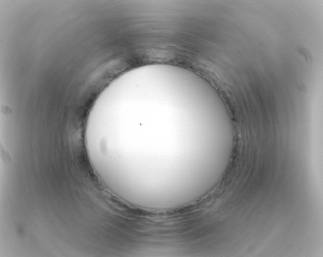X0000091340745200708101019