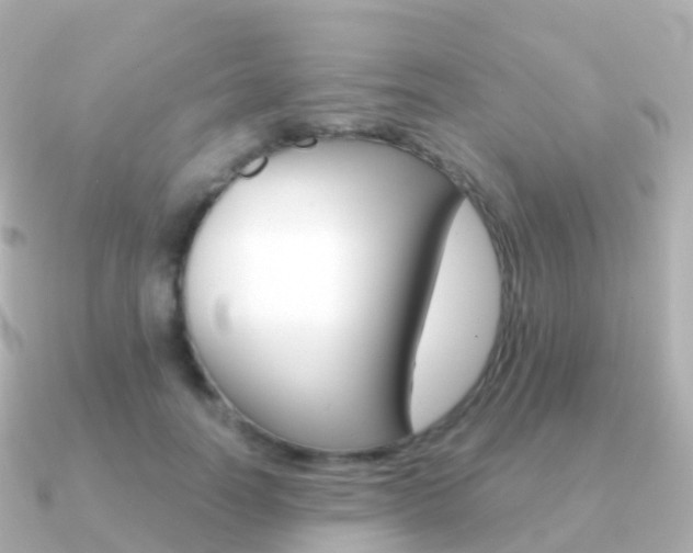 X0000091340746200708101019