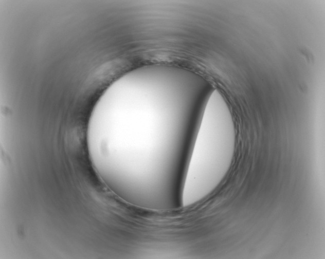 X0000091340747200708101019