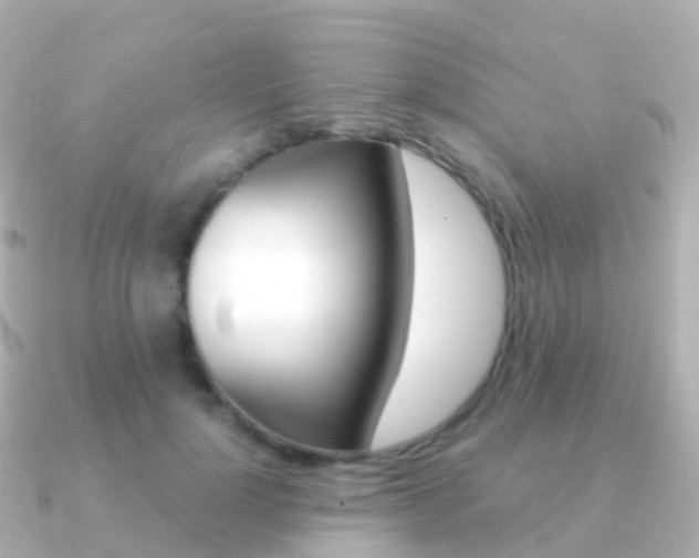 X0000091340748200708101019