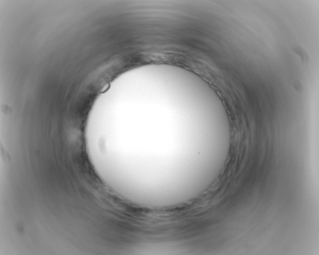 X0000091340749200708101019