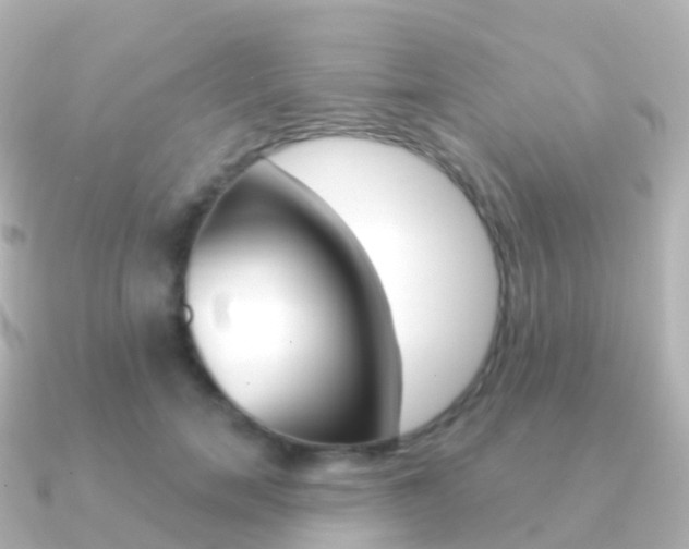 X0000091340750200708101019