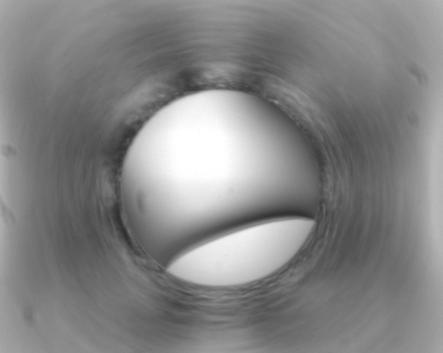 X0000091340751200708101019