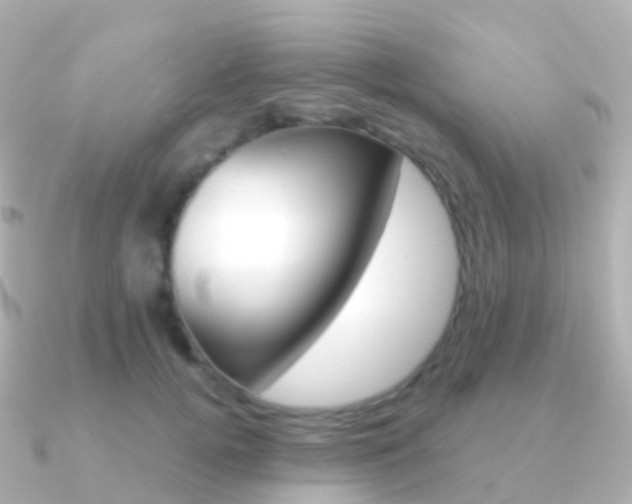 X0000091340752200708101019