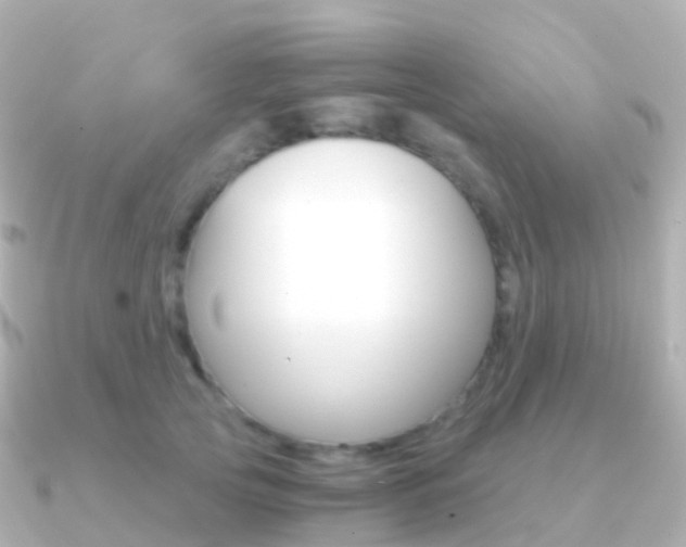 X0000091340753200708101019