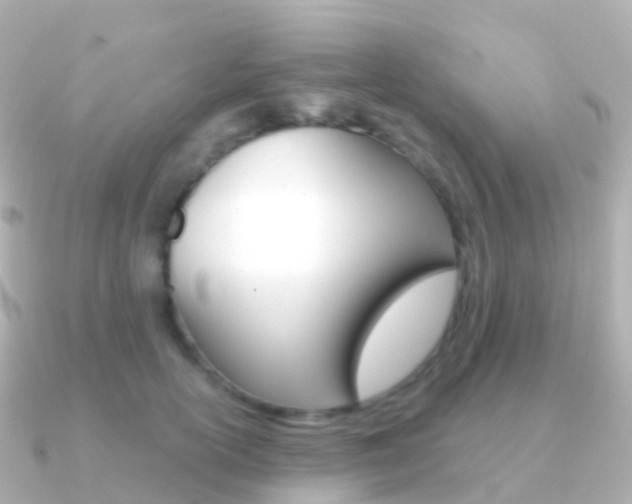 X0000091340754200708101019