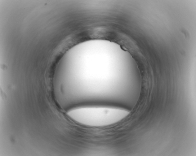 X0000091340755200708101019