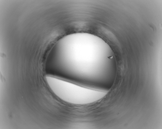 X0000091340756200708101019