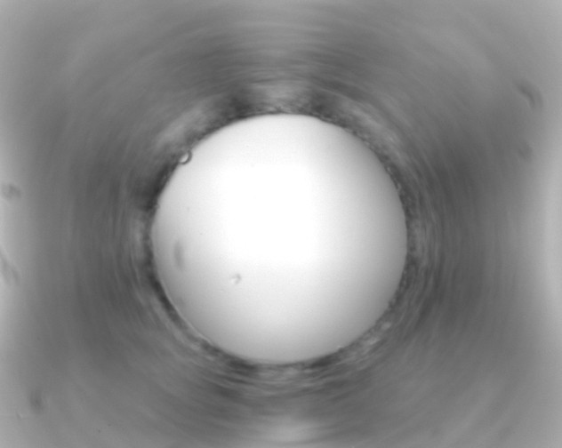 X0000091340757200708101019