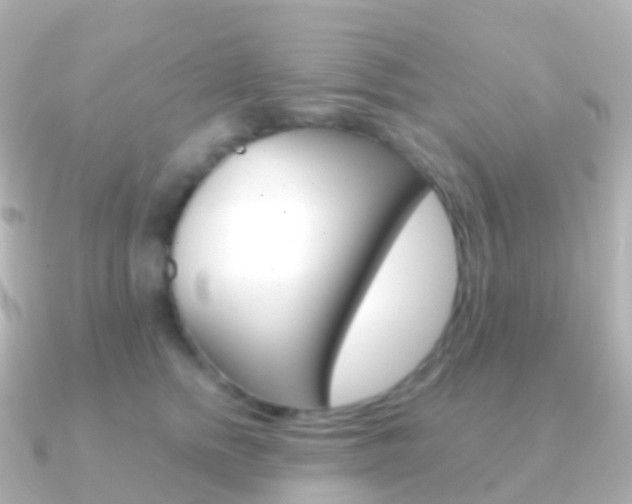 X0000091340758200708101019